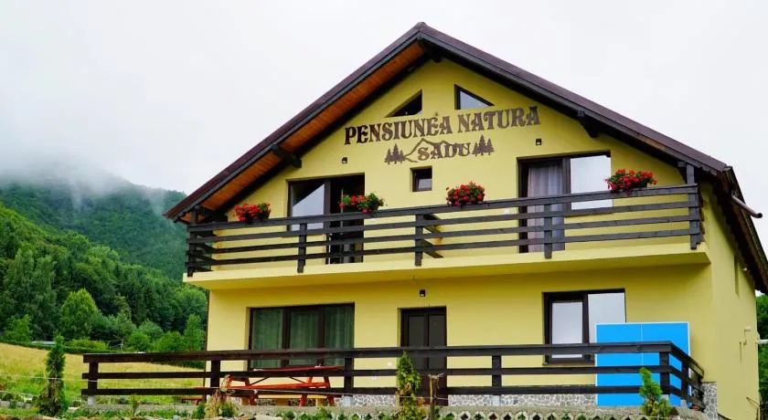 Pensiunea Natura Sadu - Image 1