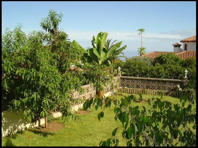 104920 -  House in La Orotava - Image 1