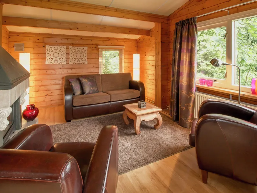 Chalet in Overijssel with Spacious Terrace - Image 1