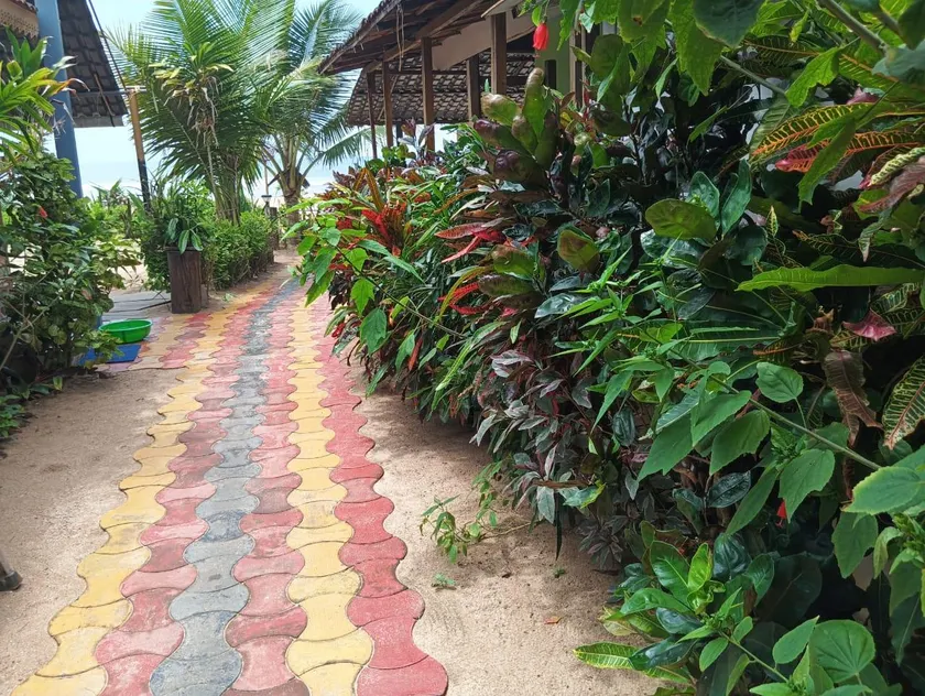 Monsoon - Image 1