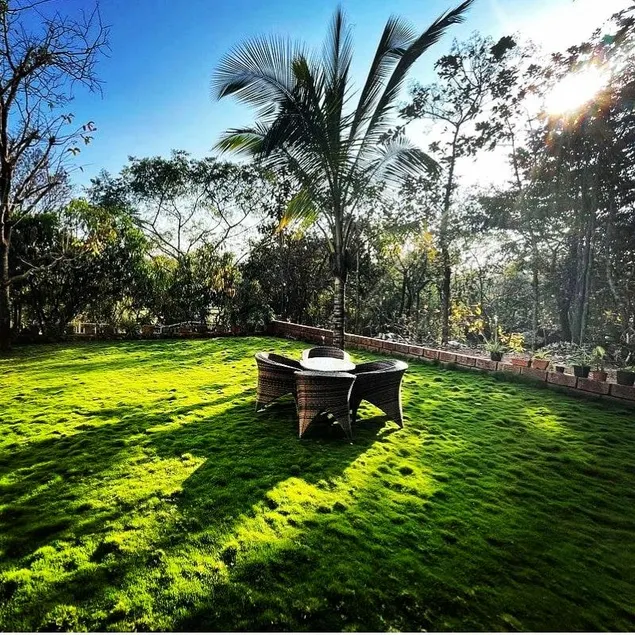 BSB Farms - Image 1