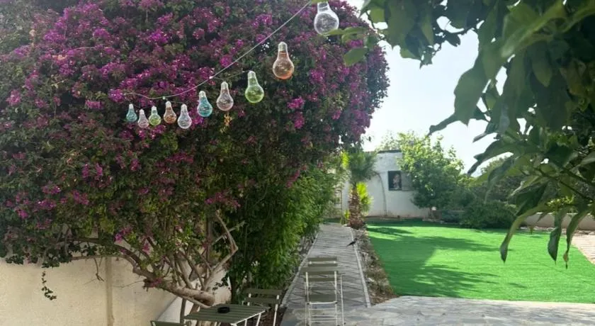 Hostl - Beds & Rooms - The Hostel Inn Paphos, Old Town - Image 1