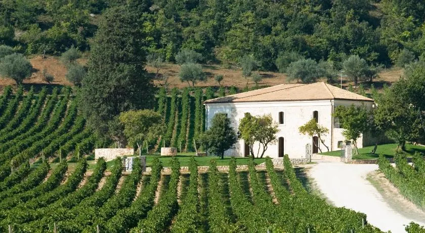 San Calisto camere con vigna - Image 1