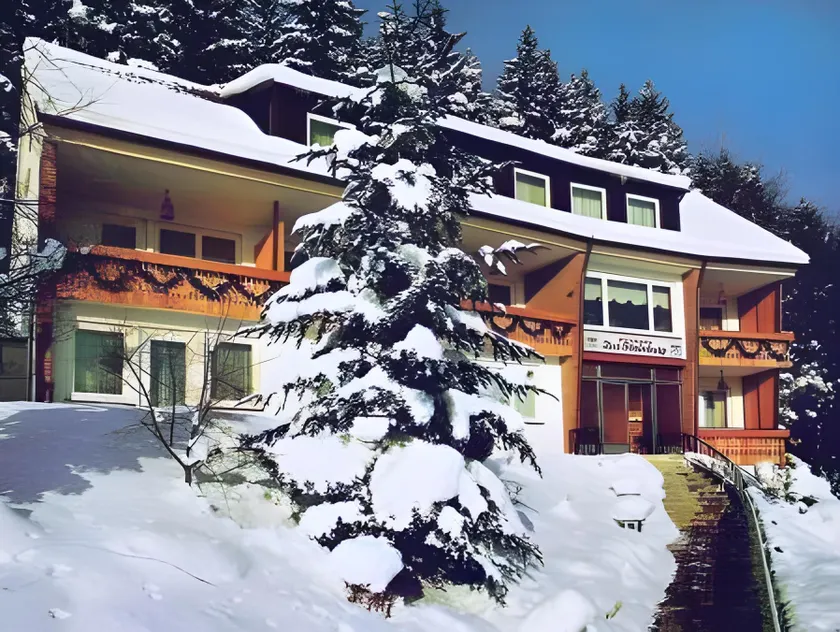 Pension Talblick Bad Grund - Image 1