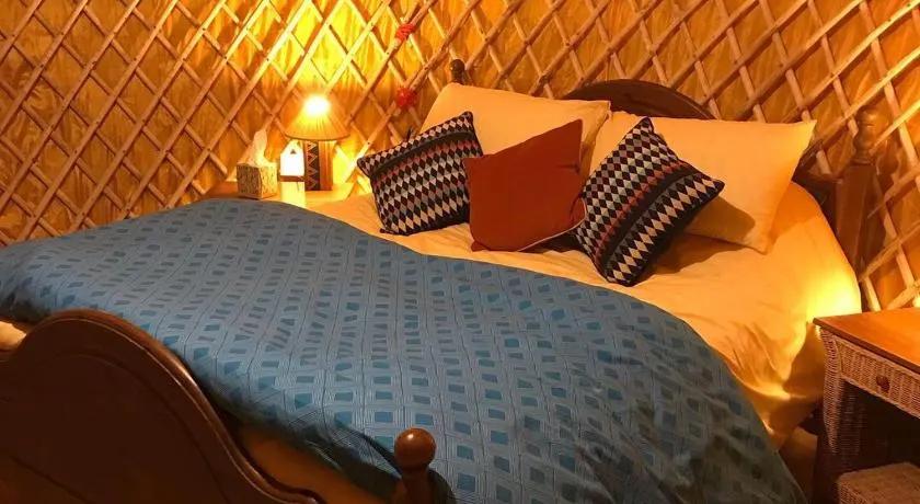 Carrigeen Glamping - Image 1
