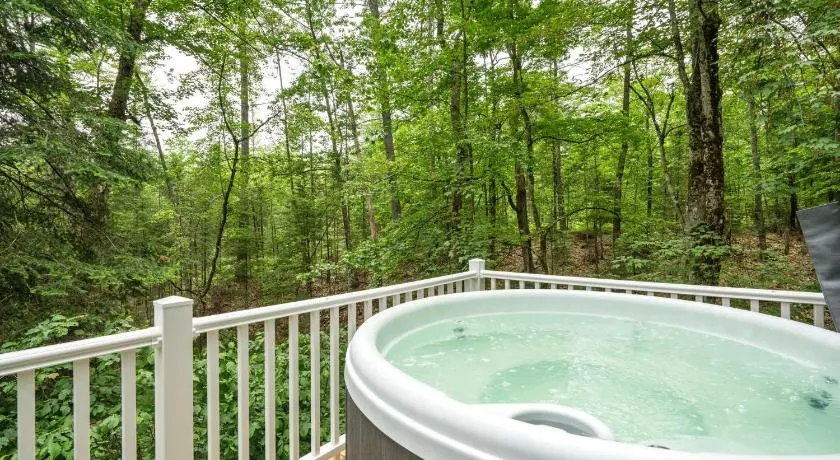 Camp Conway Hot Tub AC New Kitchen Deck - Image 1