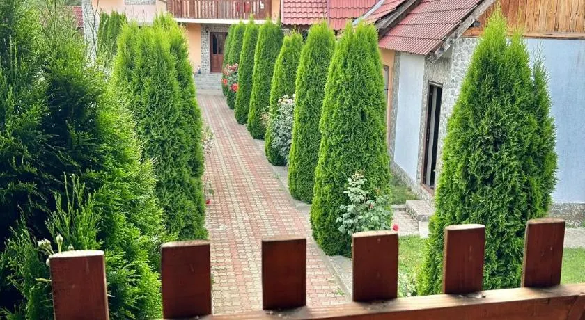 Pensiunea Casa Nina - Image 1