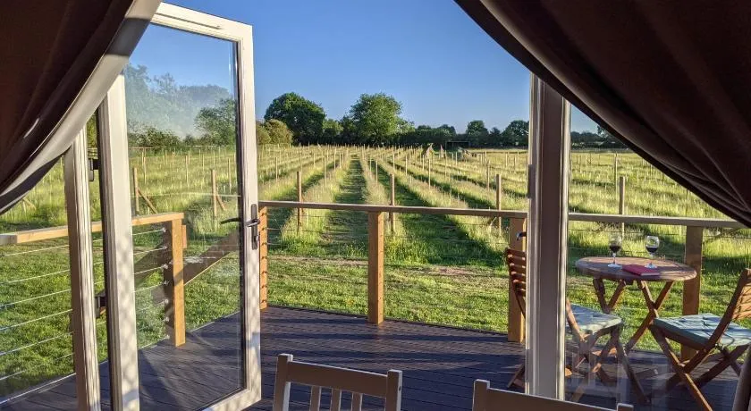 Wolds Wine Estate - Image 1