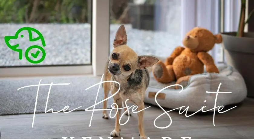 The Rose Suite Kenmare - Image 1