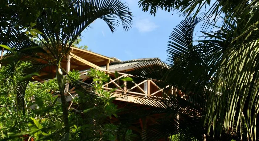 Eden Jungle Lodge - Image 1