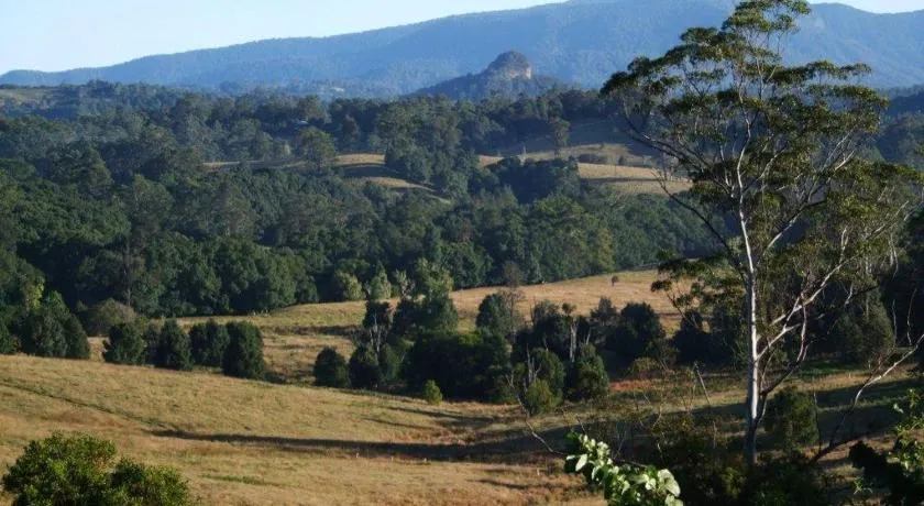 Grey Gum Lodge - Image 1