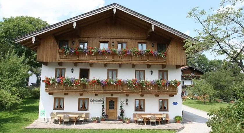 Appartamento con terrazza, giardino e griglia - Image 1