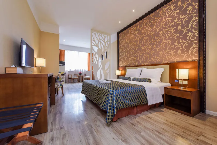 Golden Swan Hotel (Yangjiaping Zoo MixC Branch) - Image 1