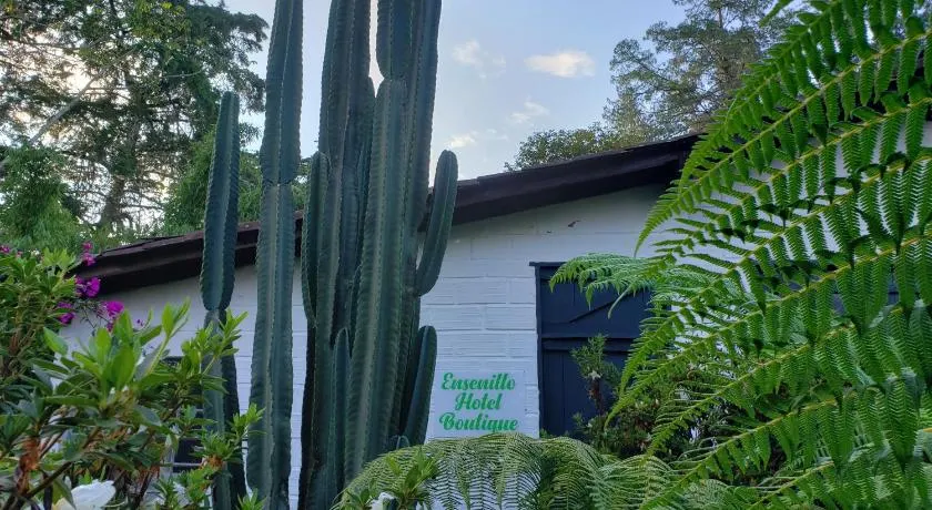 Ensenillo Hotel Boutique - Image 1