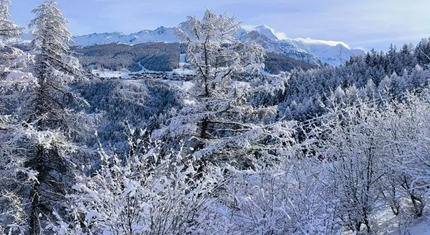 Résidence Le Rami Les Coches - La Plagne - Image 1