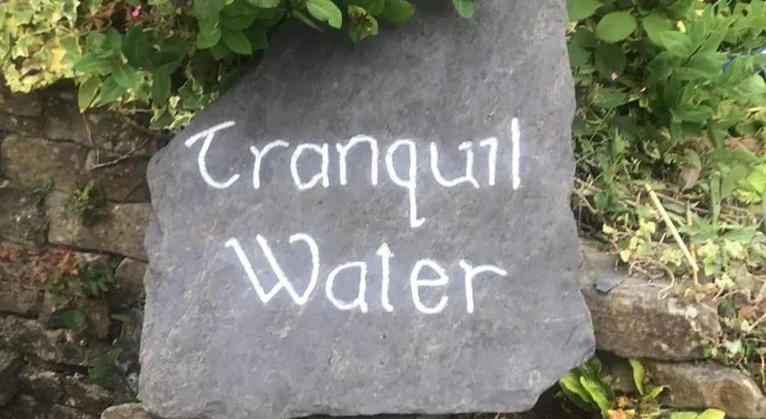 Tranquil Water - Image 1