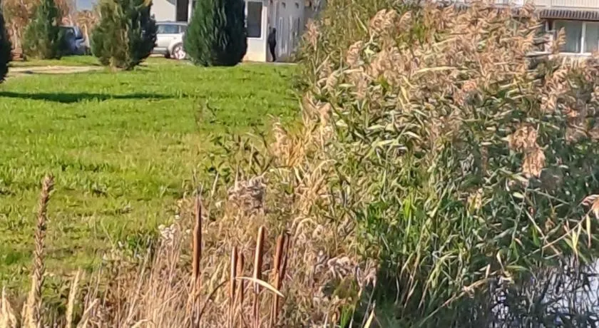 La Izvoare Pensiune-Păstrăvărie - Image 1