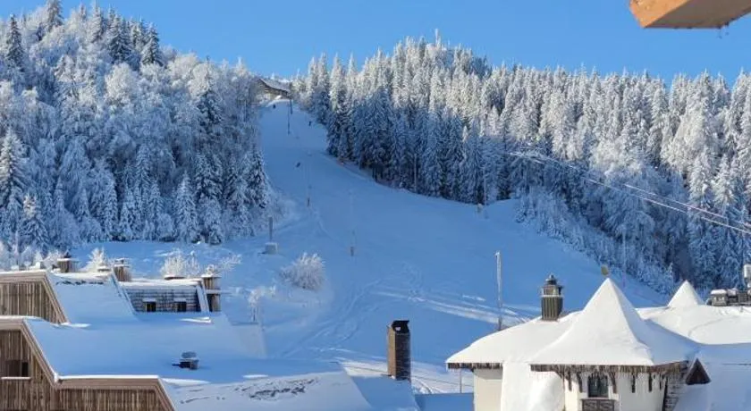 Luxury Hotel Apartment - Jahorina - Image 1