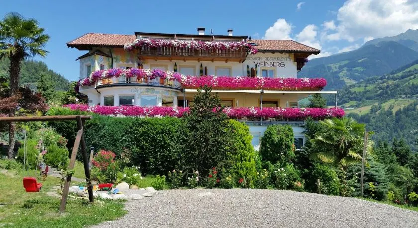 Pension Weinberg - Image 1