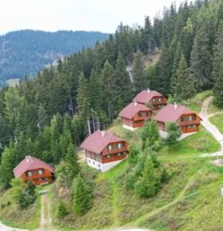 Almhüttendorf Klippitztörl - Image 1