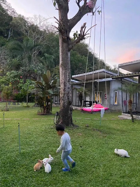 V Valley Resort - Image 1