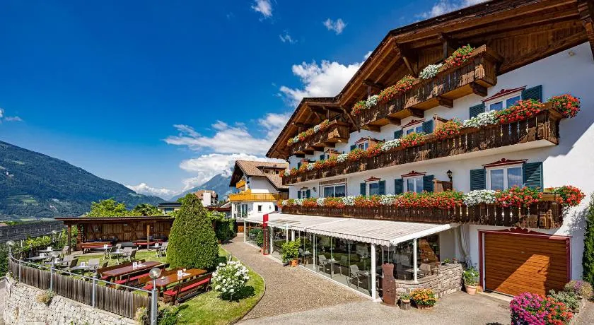 Hotel Stefanie - Image 1