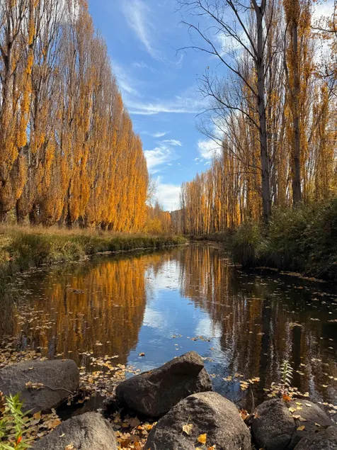 Carinya Village Jindabyne - Image 1
