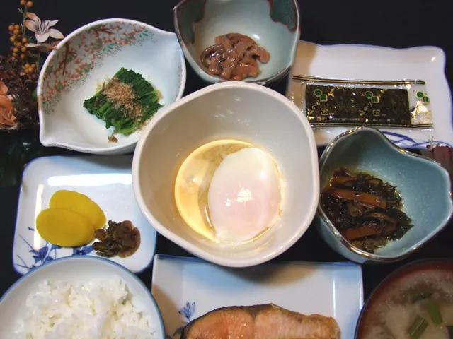 Hanesawa Onsen Katoya Ryokan - Image 1