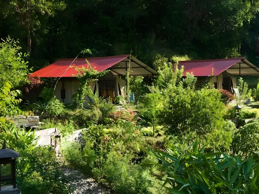 The Last Resort - Safari Tent - Image 1