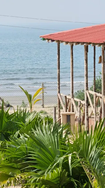 Royal Palms - Image 1
