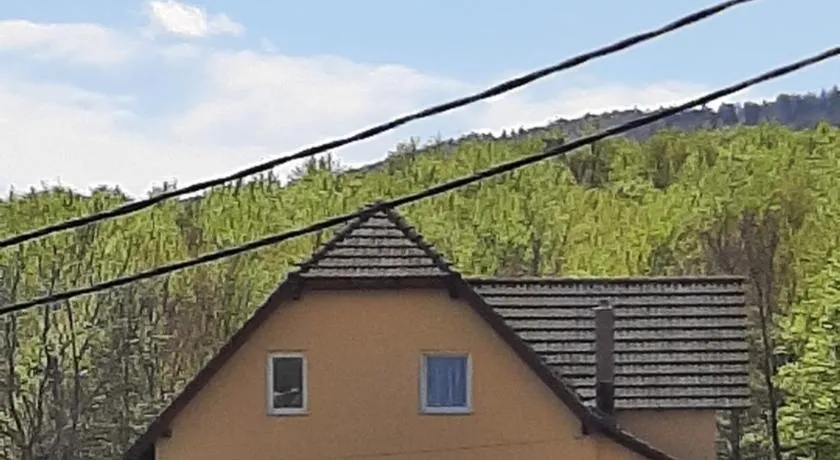 Zoran - Image 1