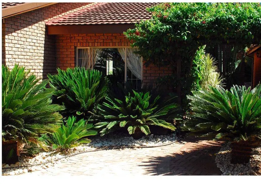 Cycas Guest House - Image 1