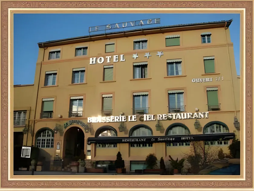 Hôtel Le Sauvage Tournus - Image 1