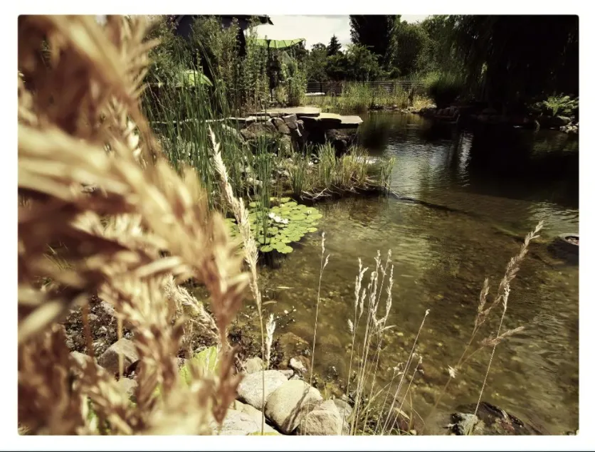 Schäfers - Ihr Wohlfühlort, Ferienwohnungen & Ferienhaus am Naturteich an 2 Seen bei Leipzig - Image 1
