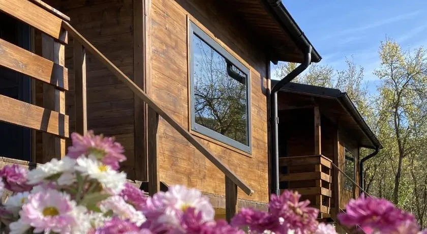 Bungalouri Olanesti - Image 1