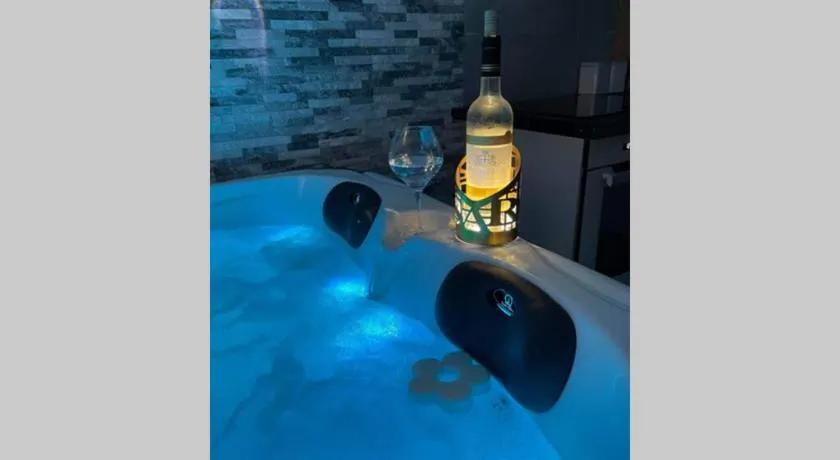 Joli T2, jacuzzi, lit rond, jardin, parking privé, métro - Image 1