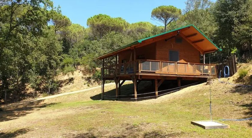 Rustic Cabin in the Woods/Cabaña en el bosque - Image 1