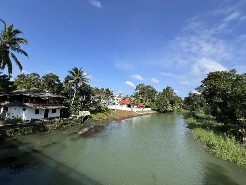 Alappattu meadows - Image 1