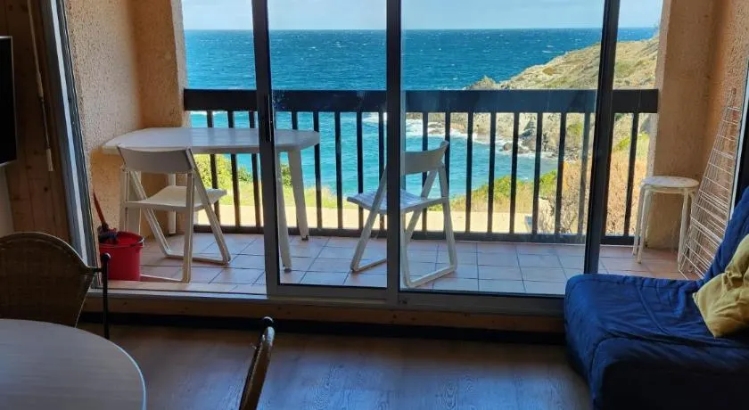Appartement vue mer Port Vendres Collioure direct crique wifi - Image 1