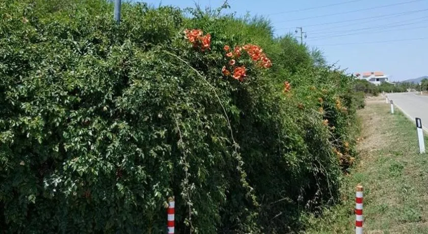 B&B Su Tintillu - Image 1