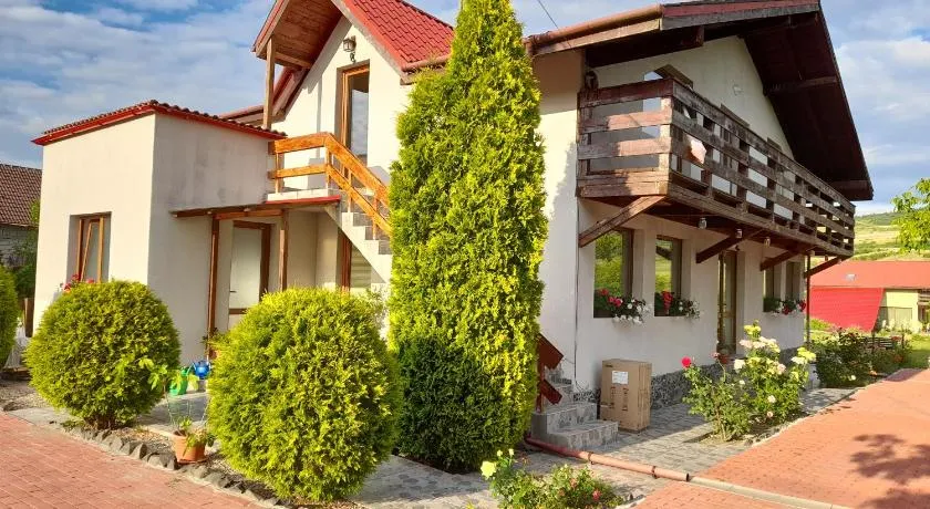 Casa cu flori - Image 1