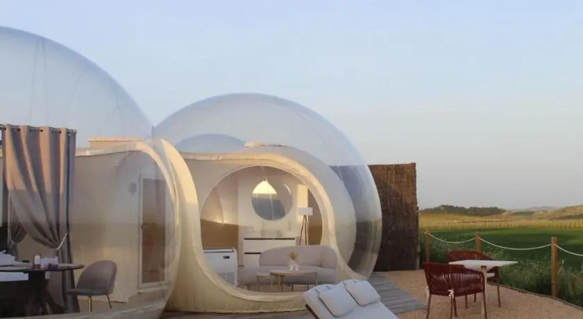 Wine Bubble - Image 1