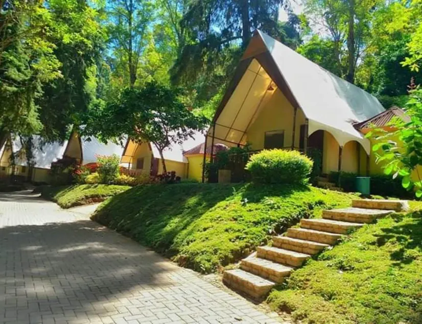 Lawu Forest Camp - Image 1