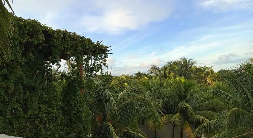 Casa aloha-Isla Holbox - Image 1