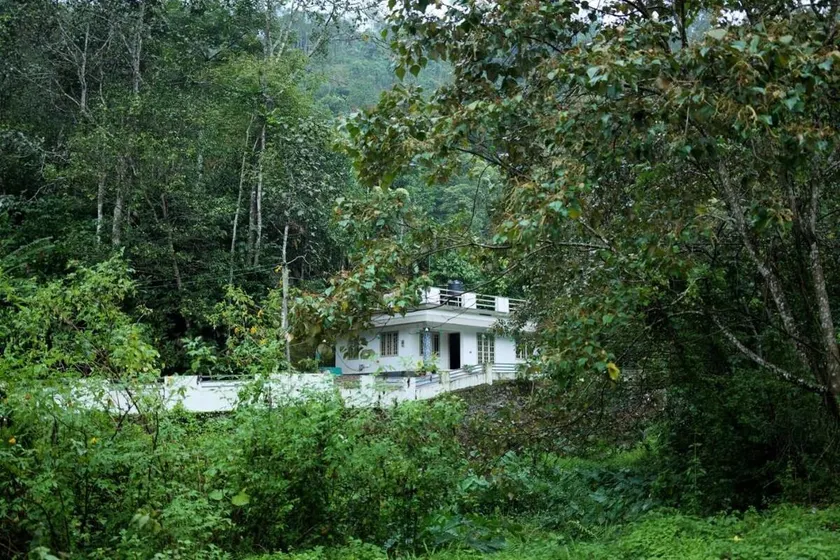 Morning Hills - Image 1