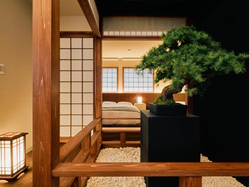 KONJAKUSO Osaka Tempozan KANOH SHOHAKU Sakura Pine Tree - Image 1