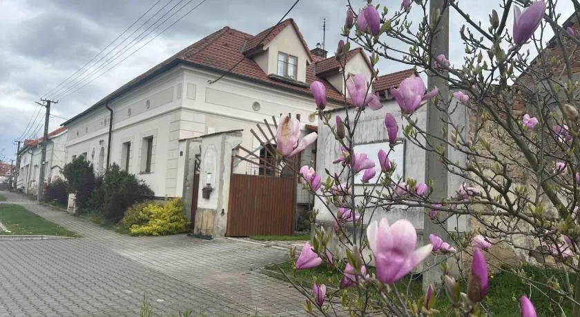 Privát u koní - Image 1