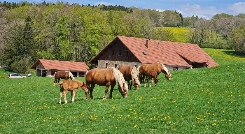 Gîte du cheval blanc - Image 1