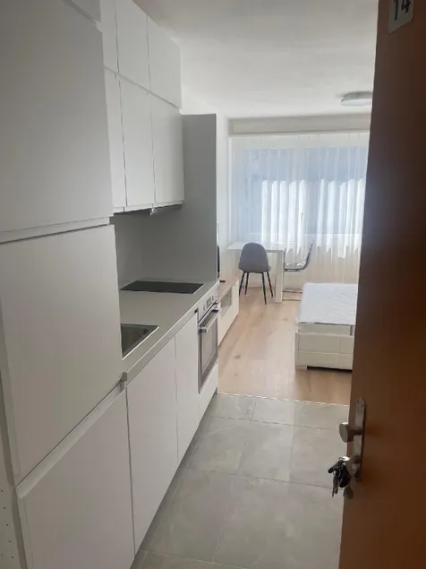 Komfortables Apartment für Urlaub in Triesen - Image 1