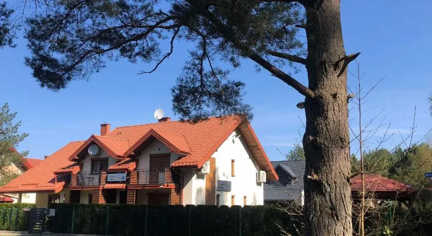 Znowu wrócisz - Image 1